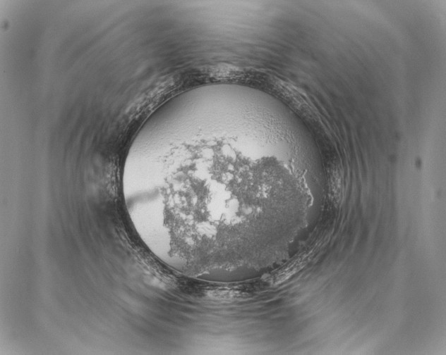 X0000087020470200704301319