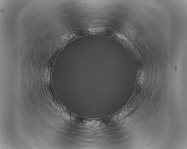 X0000087020471200704301319