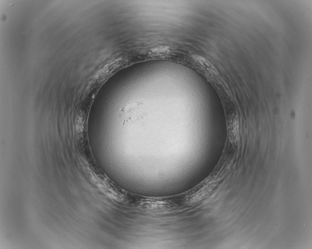 X0000087020472200704301319