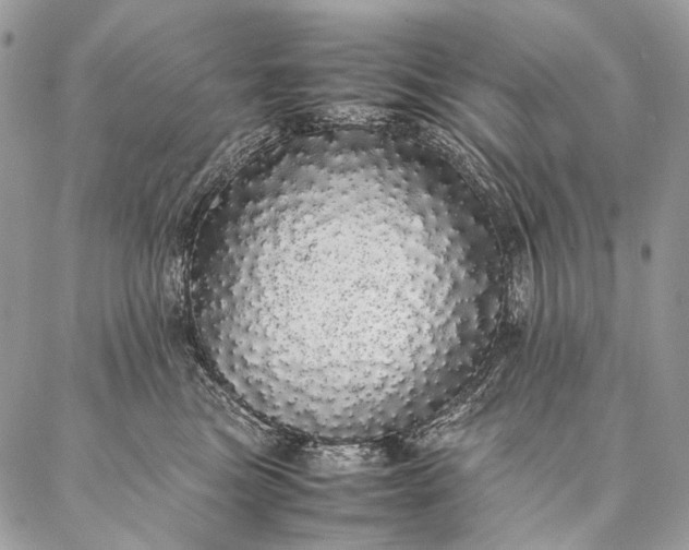 X0000087020473200704301319