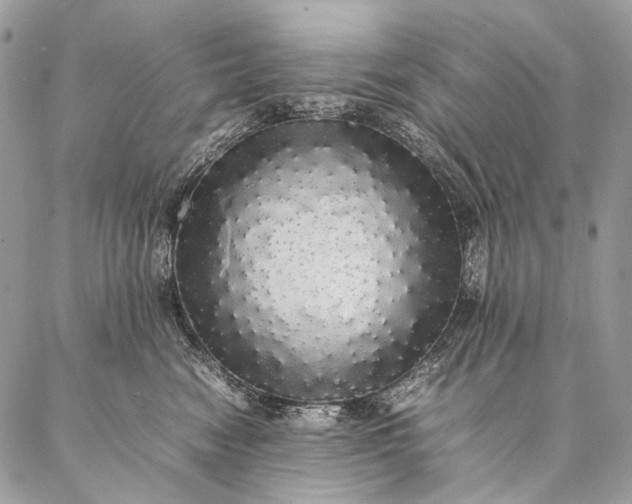 X0000087020474200704301319