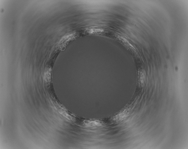 X0000087020475200704301319