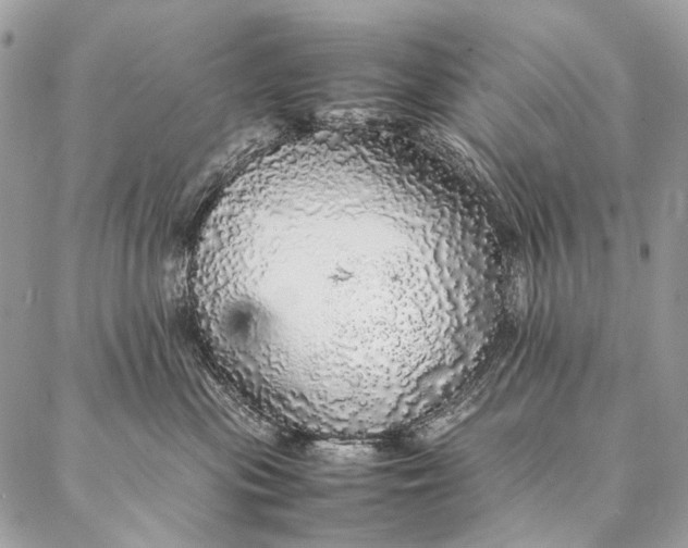 X0000087020477200704301319