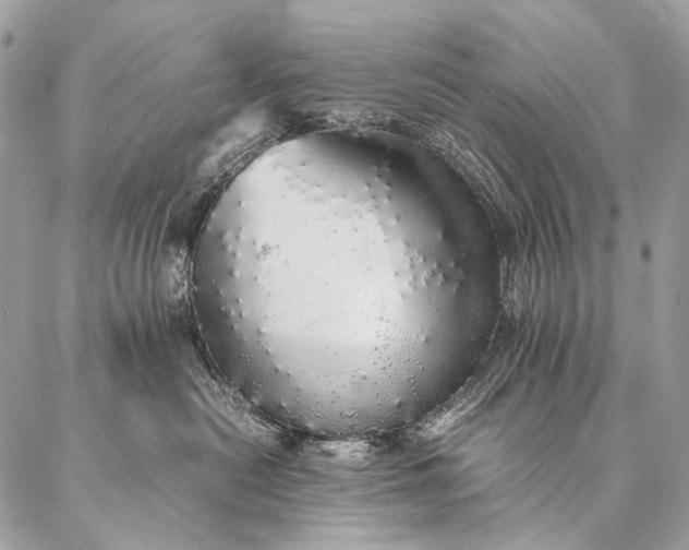 X0000087020478200704301319