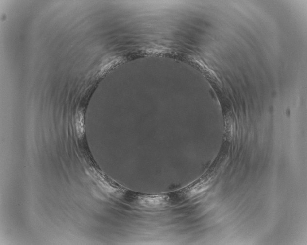 X0000087020479200704301319