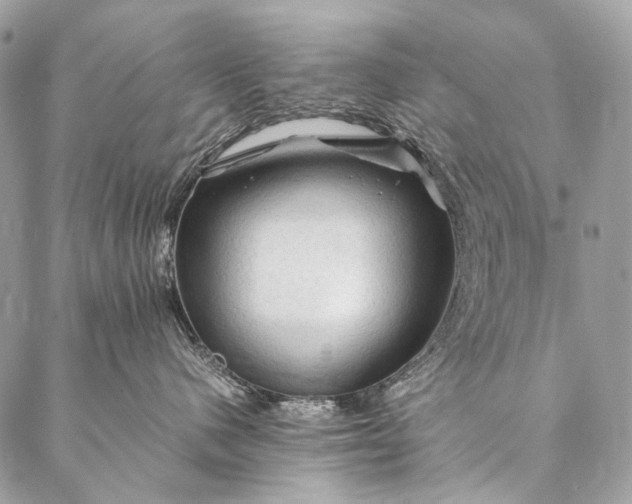 X0000087020480200704301319