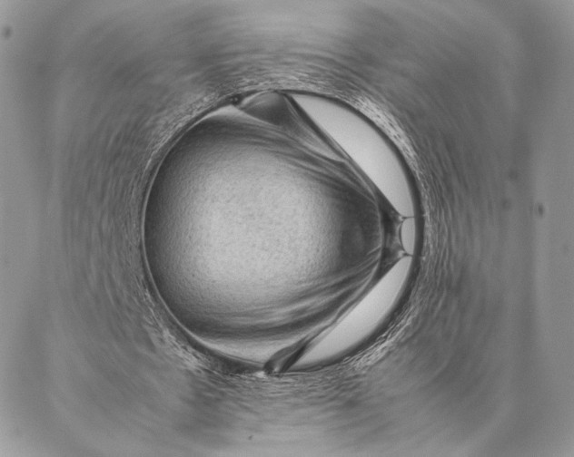 X0000087020481200704301318