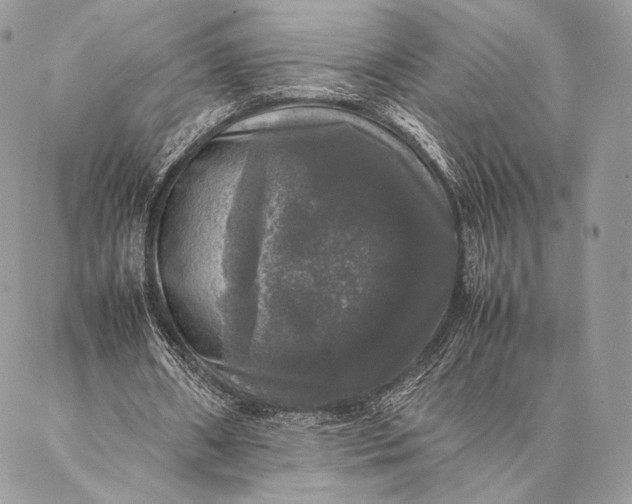 X0000087020482200704301318