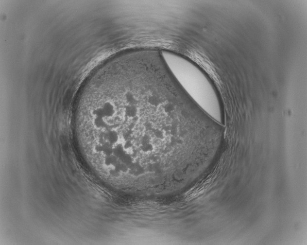 X0000087020483200704301318