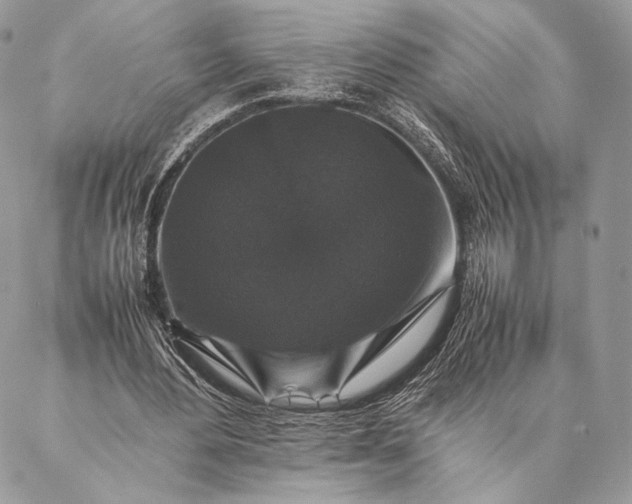 X0000087020484200704301318