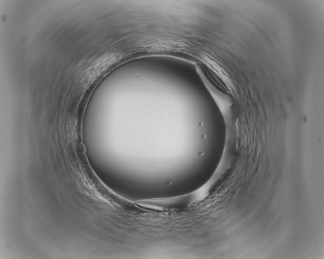 X0000087020485200704301318