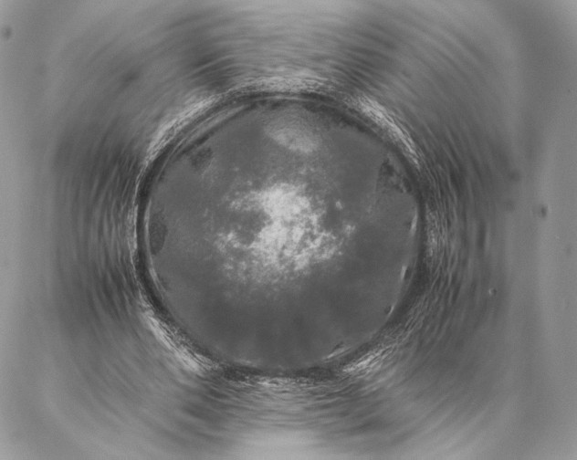 X0000087020486200704301318