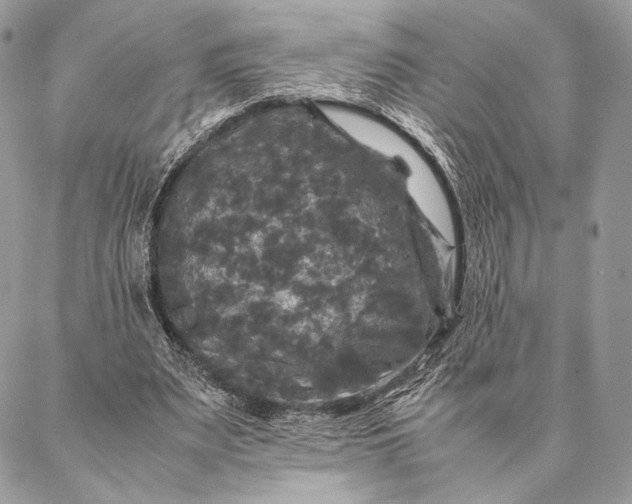 X0000087020487200704301318