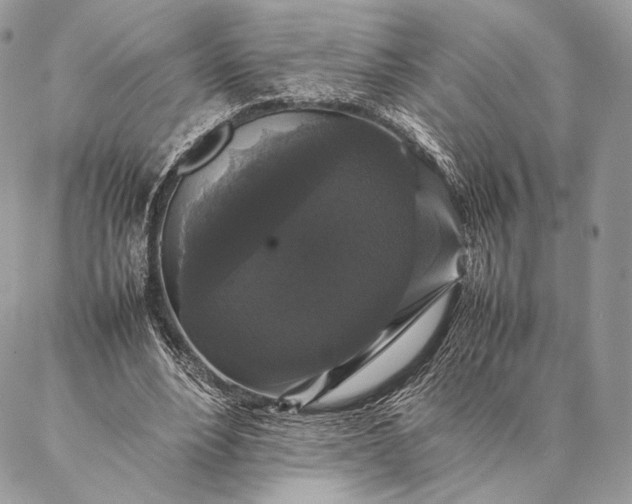 X0000087020488200704301318