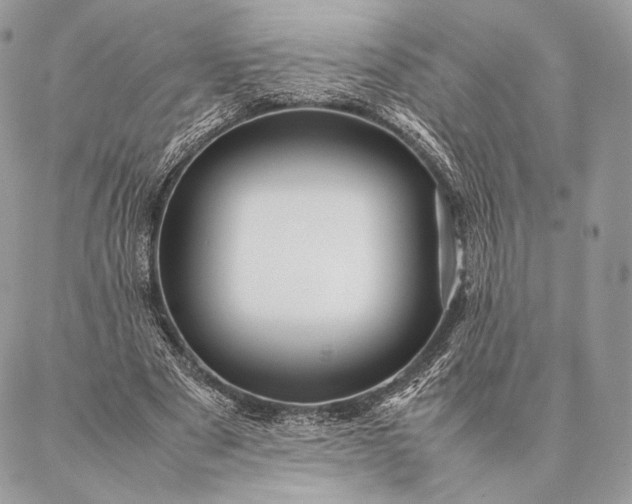 X0000087020489200704301318