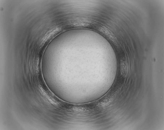 X0000087020490200704301318