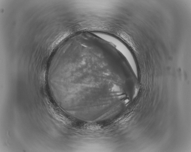 X0000087020491200704301318