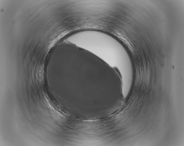 X0000087020492200704301318