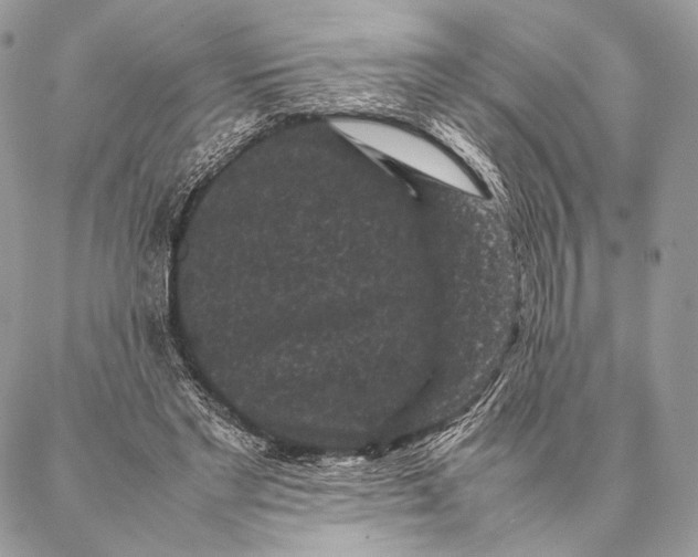 X0000087020493200704301318