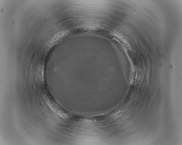 X0000087020494200704301318