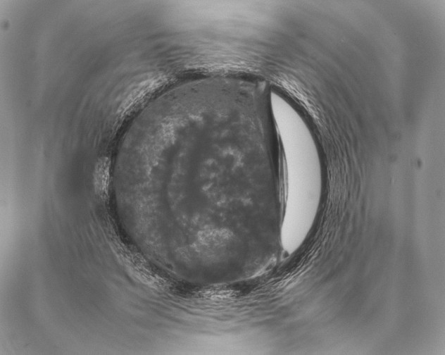 X0000087020495200704301318