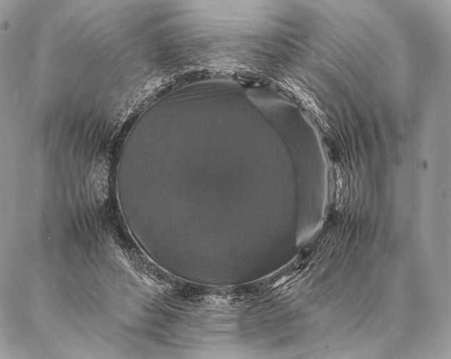 X0000087020496200704301318