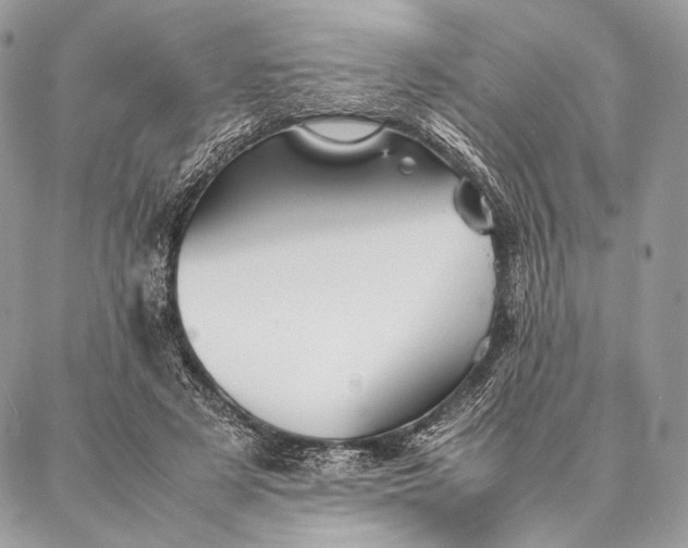 X0000087020497200704301318