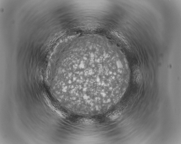 X0000087020498200704301318