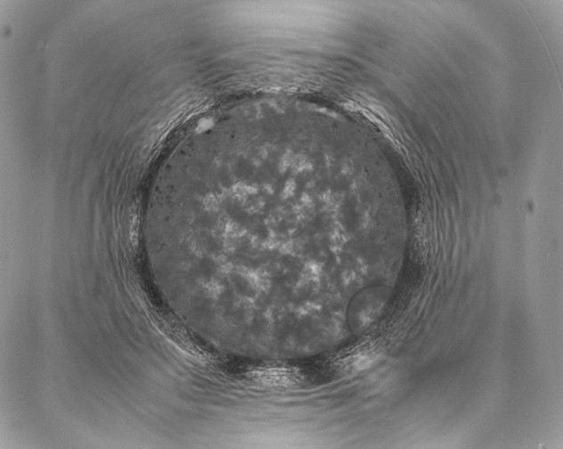 X0000087020499200704301318