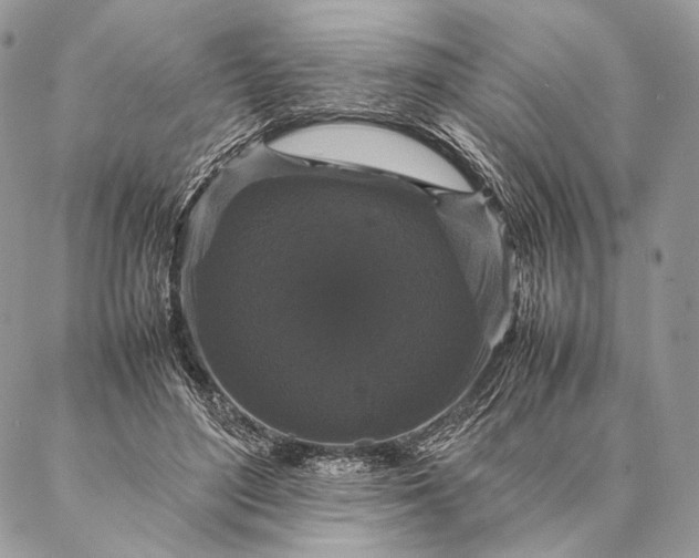 X0000087020500200704301318