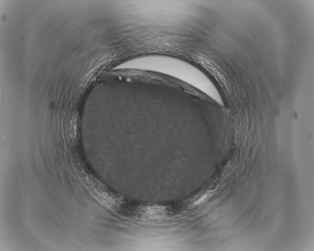 X0000087020501200704301318