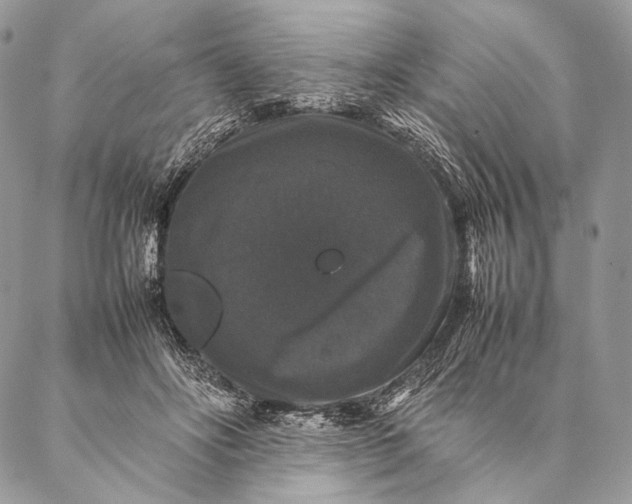 X0000087020502200704301318