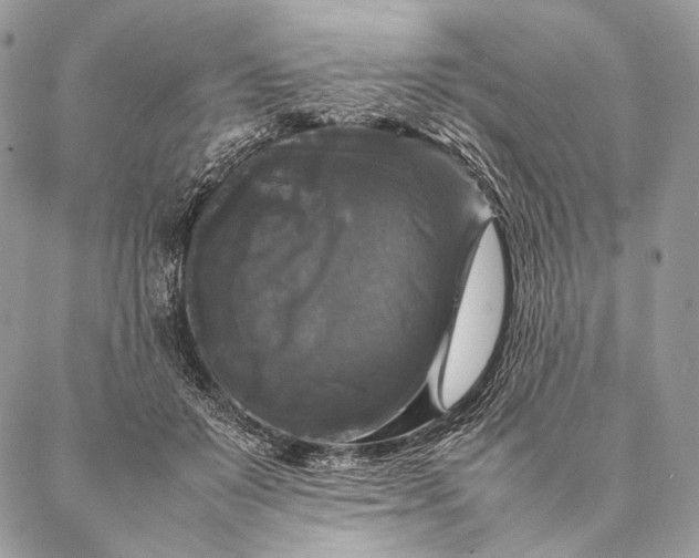 X0000087020503200704301318