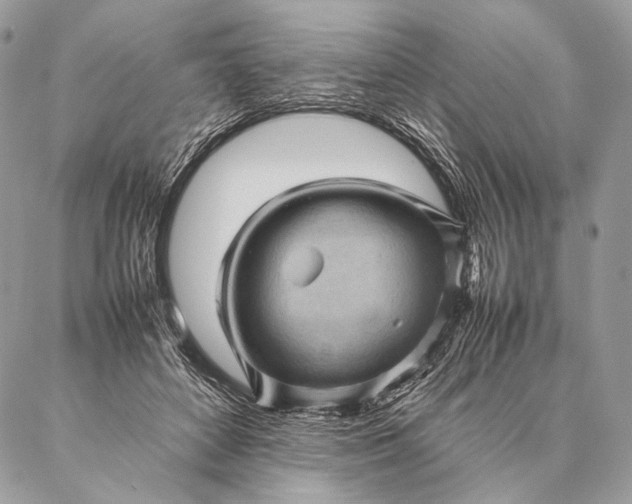 X0000087020504200704301318