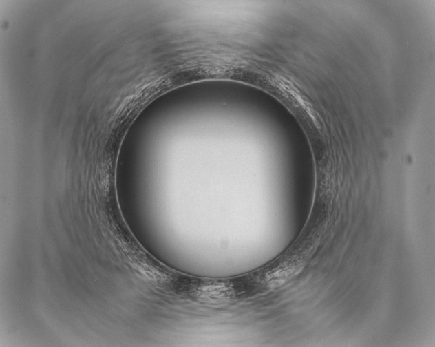 X0000087020505200704301318