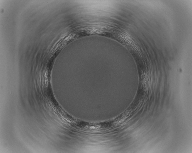 X0000087020506200704301318