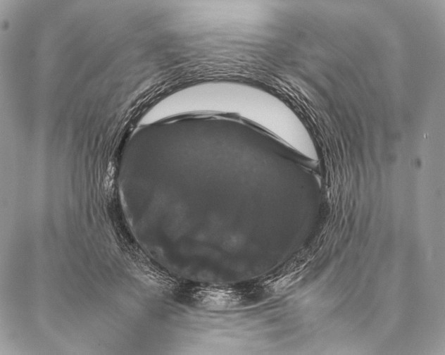 X0000087020507200704301318