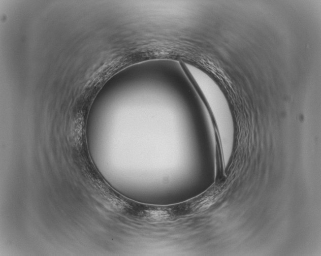 X0000087020509200704301317