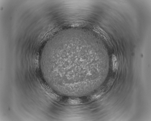 X0000087020510200704301317