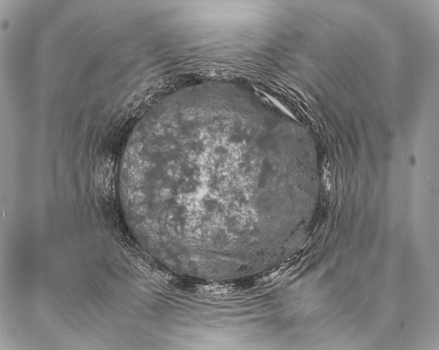 X0000087020511200704301317