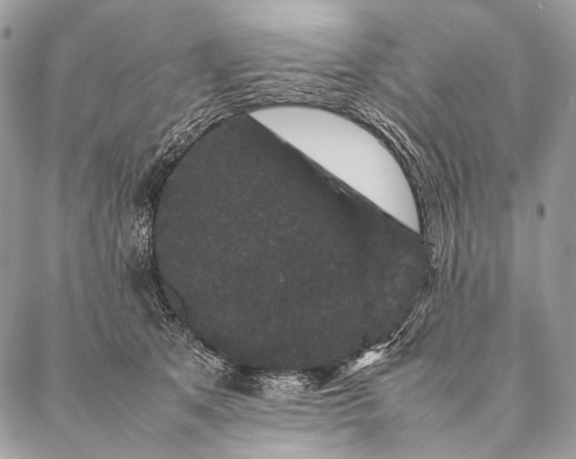 X0000087020513200704301317