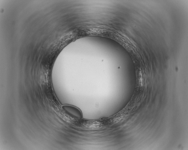 X0000087020514200704301317