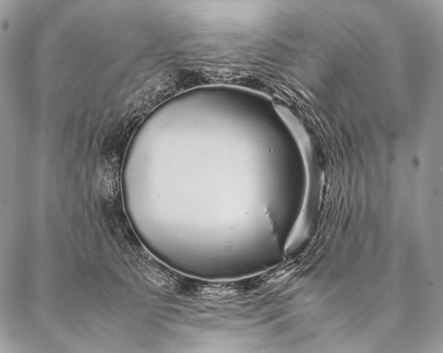 X0000087020515200704301317