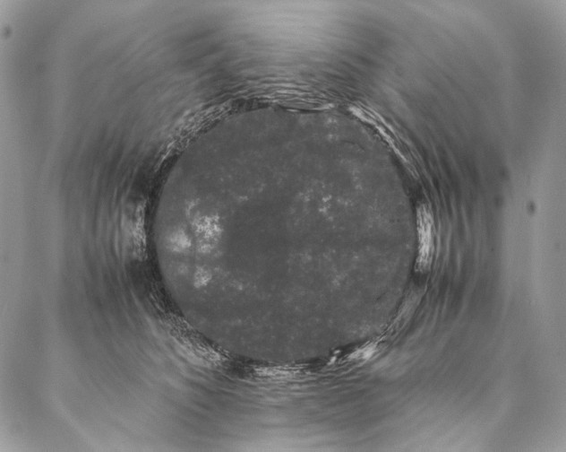 X0000087020516200704301317