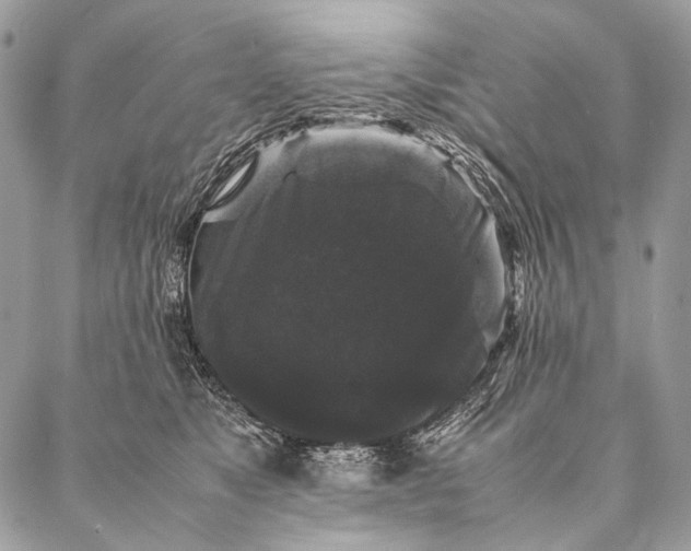 X0000087020517200704301317