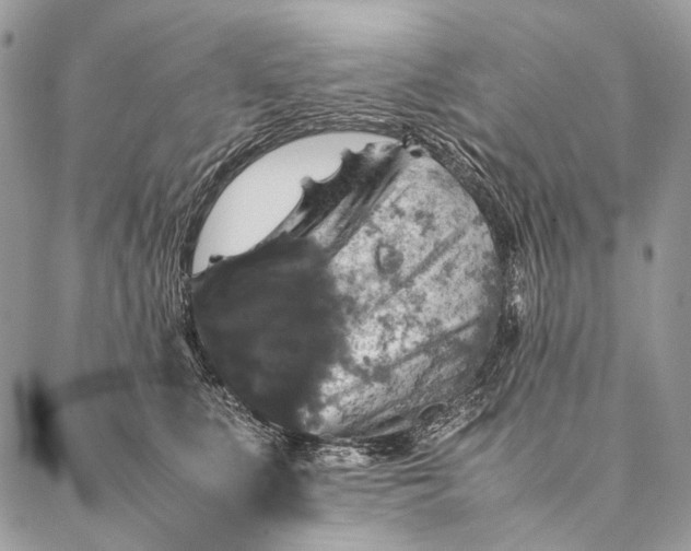 X0000087020519200704301317