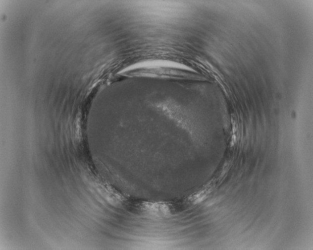 X0000087020520200704301317