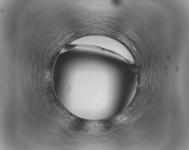 X0000087020521200704301317