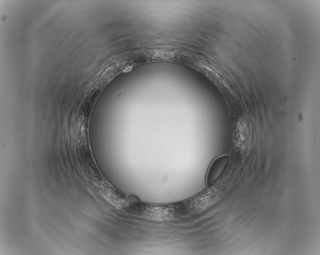 X0000087020522200704301317