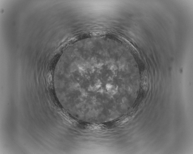 X0000087020523200704301317